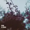 Kevin Samuel - Pink Clouds - Single